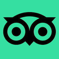 green and black logo of tripadvisor,