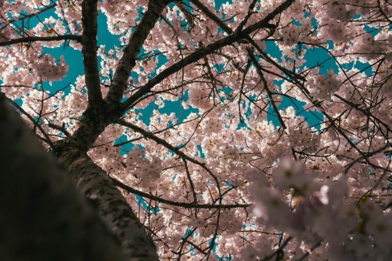 April in Birmingham: Hidden Spring Spots & Local Places You’ll Love