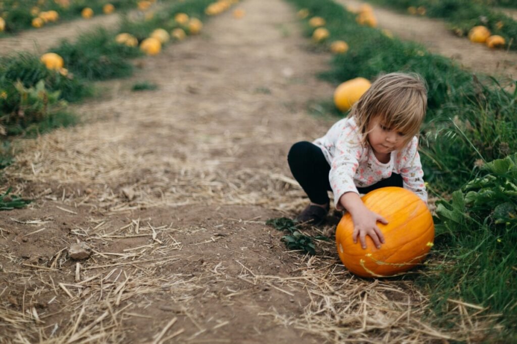 This image has an empty alt attribute; its file name is patrick-fore-vlrJNG2cg78-unsplash-1024x683.jpg