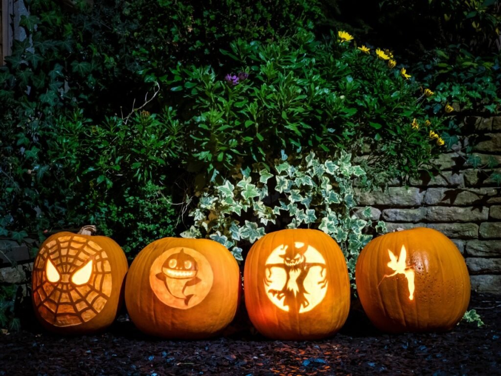 halloween pumpkin autumn